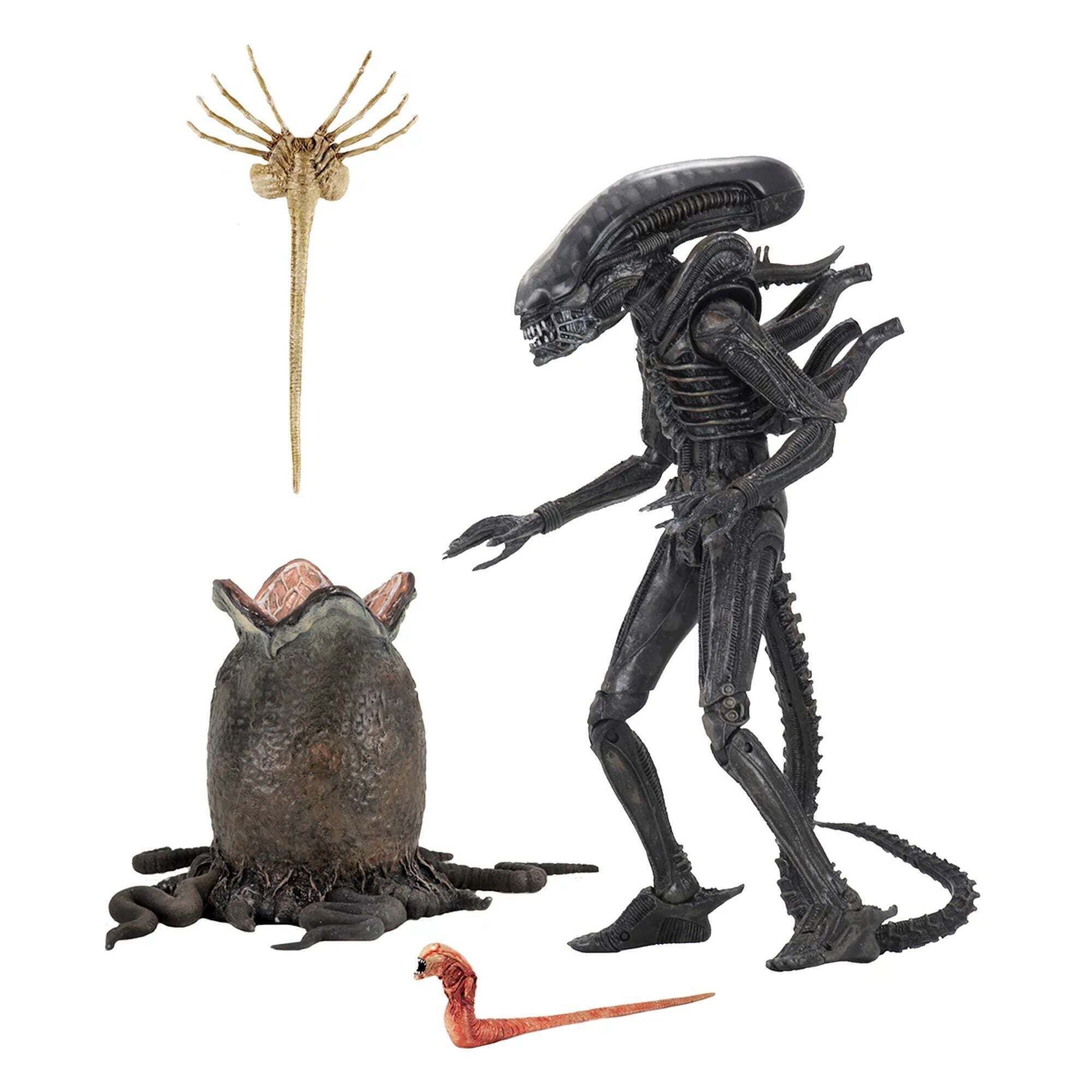 ALIEN – ACTIEFIGUUR VAN 18 CM – ULTIEME 40E VERJAARDAG BIG CHAP