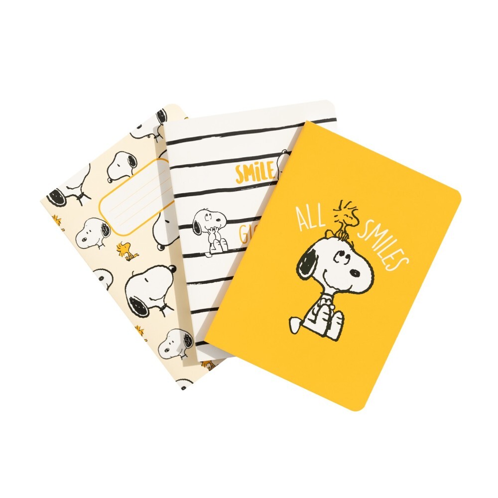 PAKKET VOOR LUIE DAGEN: 3 A6-NOTITIEBOEKEN - PEANUTS